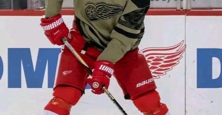 R.I.P. to a Legend: Detroit Red Wings Mourn the Loss of Iconic Player….