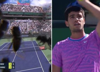 Breaking News: Carlos Alcaraz Suspended from Final Match in Shocking Twist – Read Full Story