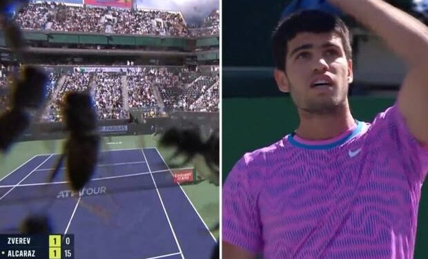 Breaking News: Carlos Alcaraz Suspended from Final Match in Shocking Twist – Read Full Story