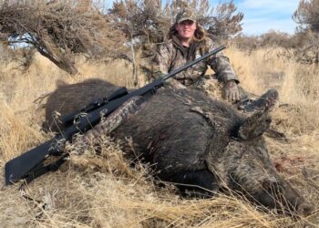 European Wild Boar Hunt – A Hunting Experience of a Lifetime… read more