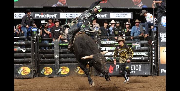 Umm… Did You See That? Leme Wins It All with a 90.5 Point Ride | PBR …see more