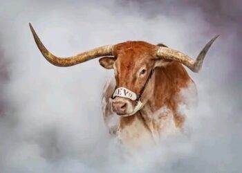 🤘🏼Hook’Em Horns🤘🏼!  Longhorns Stand Tall: Texas Represents SEC in College Football Playoff