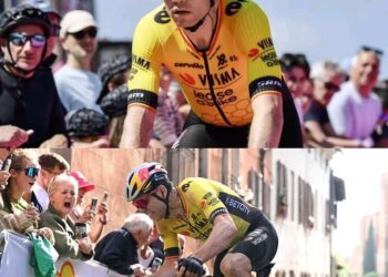 Why Is Wout van Aert So Popular? Michel Wuyts Knows the Reason