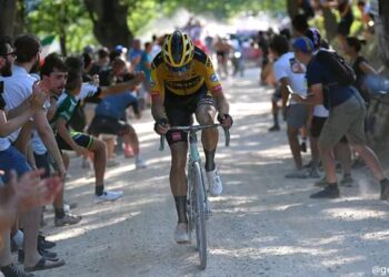 “Wout van Aert is de Roger De Vlaeminck van zijn generatie”