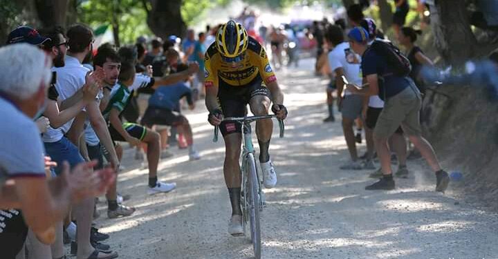 “Wout van Aert is de Roger De Vlaeminck van zijn generatie”
