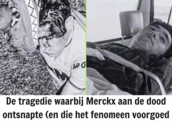 De tragedie waaraan Merckx ternauwernood ontsnapte – en die het fenomeen voorgoed veranderde: “Daarna was het nog steeds een halve werveling” 💥