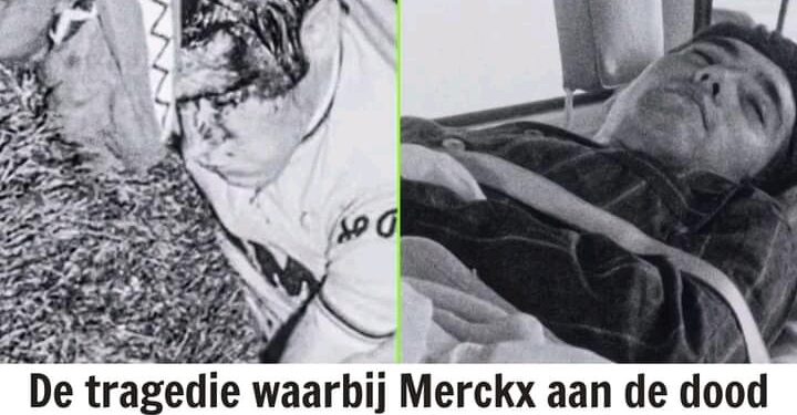 De tragedie waaraan Merckx ternauwernood ontsnapte – en die het fenomeen voorgoed veranderde: “Daarna was het nog steeds een halve werveling” 💥