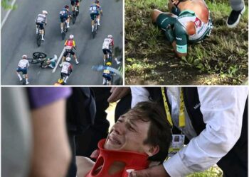 Gebroken sleutelbeen en rib voor Jasper Philipsen, renner overgebracht naar ziekenhuis in Herentals