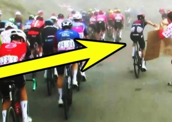 De vrouw met het gebroken kartonnen bord is gevonden! Ze ontmoet Wout van Aert en Julian Alaphilippe in een hartverwarmend moment