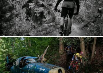 Tragedie in de Ardennen: Mountainbiker crasht tijdens fietstocht, kleinzoon is getuige van het hartverscheurende tafereel