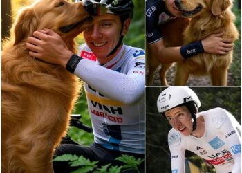 Najnovejše slike prikazujejo Tadeja Pogačarja, kako med vzponom na goro skoči naravnost v množico, da bi rešil psa – rojena je bila življenjska misija