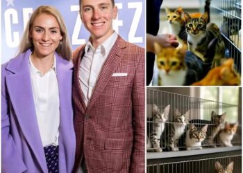 Tadej Pogačar et Urška Žigart inaugurent « Whisker Haven », un sanctuaire de 5 millions de dollars pour les chats errants en Slovénie.
